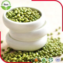 2016 Hot Selling Green Mung Bean